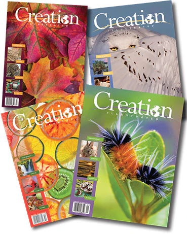 Faith, Wellness, and Prophetic Wisdom