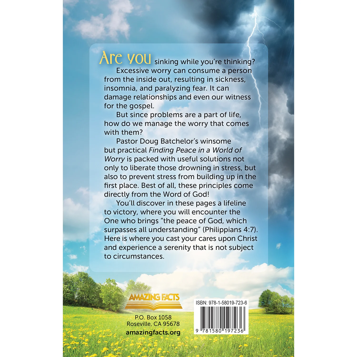 Finding Peace in a World of Worry - Image 3