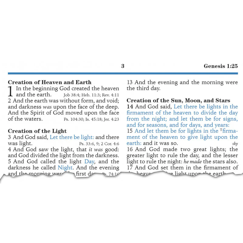 KJV Platinum Remnant Study Bible (Gray Leather) - Image 2
