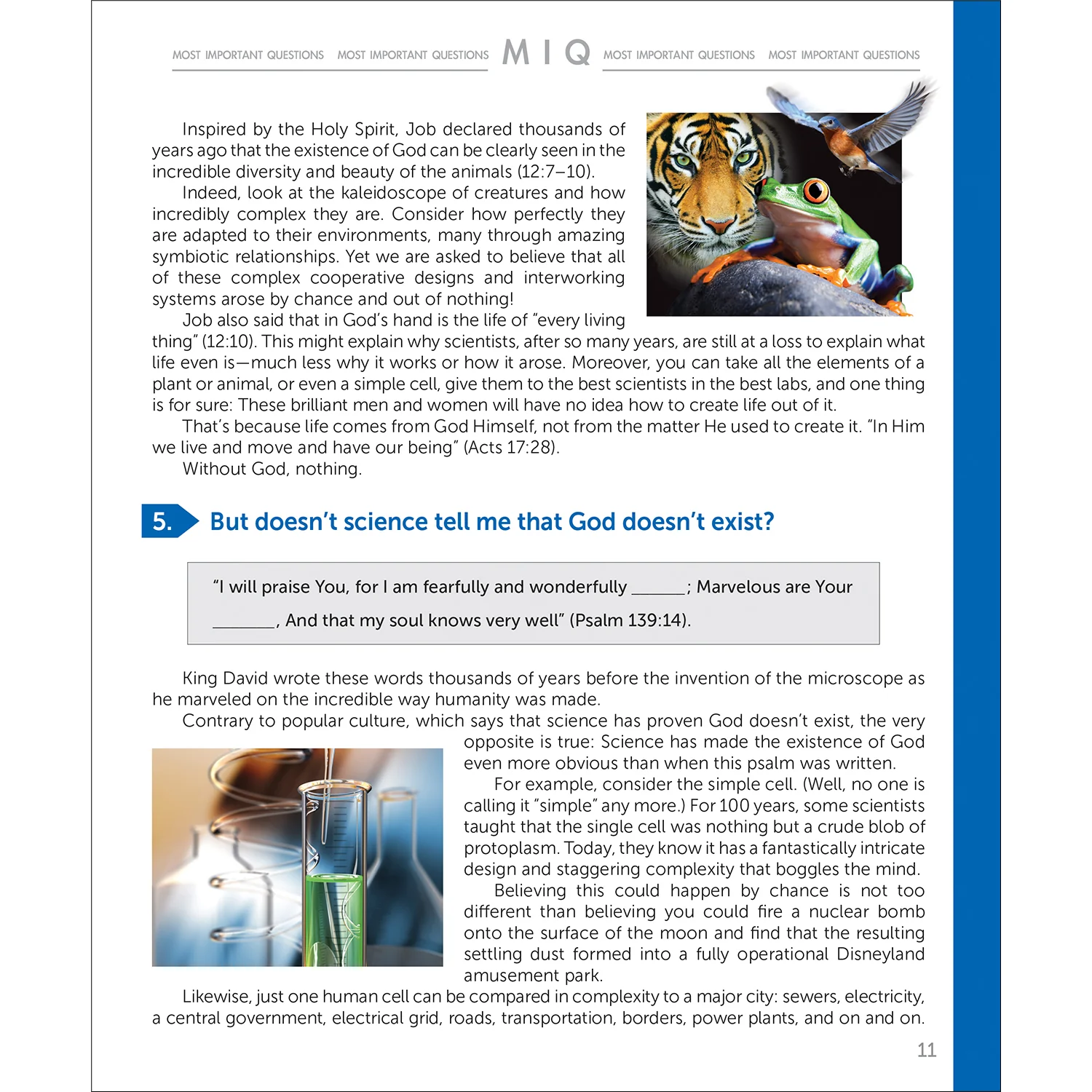 MIQ: Most Important Questions Answer Guide Book by Doug Batchelor - Image 9