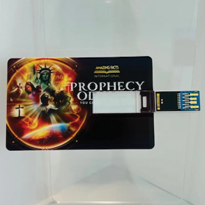 Prophecy Odyssey: You Can Know the Future! on USB Card - Image 3