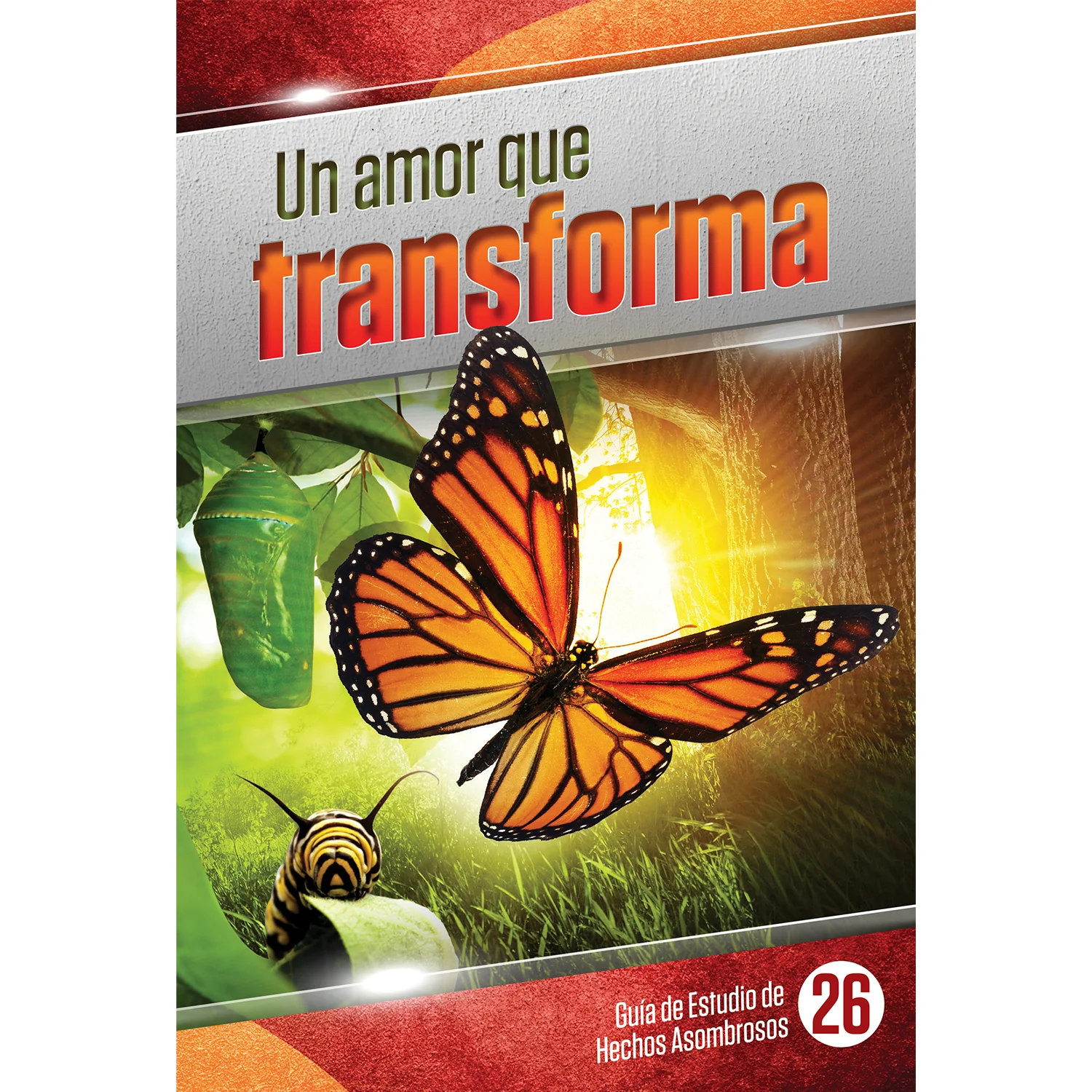 Un Amor Que Transforma by Bill May - Image 3
